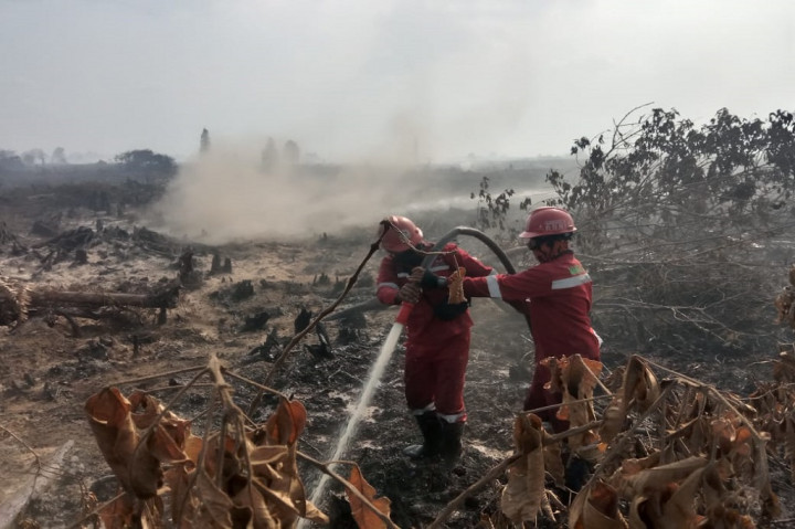 1.754 Hektare Karhutla Riau Berhasil Dipadamkan
