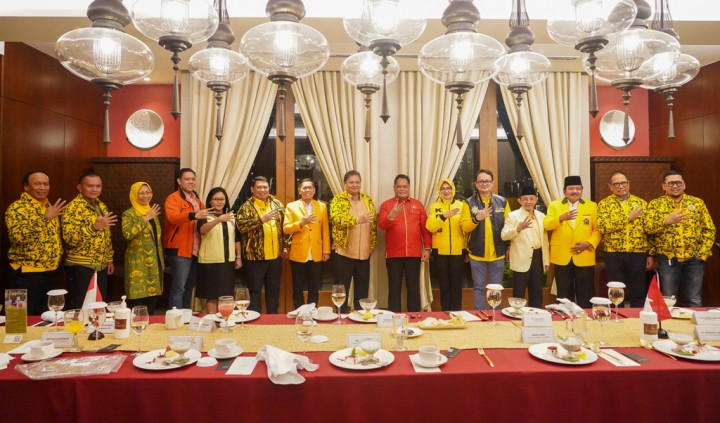 Ormas dan Sayap Golkar Dukung Airlangga Hartarto, Siap Sumbang Jutaan Suara