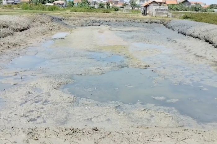 Kolam ikan di Kecamatan Pamanukan, Subang, Jawa Barat mulai mengering akibat kemarau. MI/Reza Sunarya