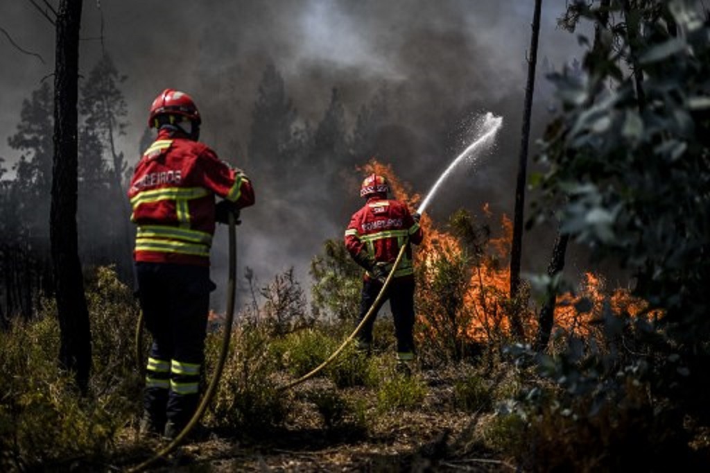 Petugas berusaha memadamkan kebakaran hutan di Carrascal, Portugal, 6 Agustus 2023. (Patricia DE MELO MOREIRA / AFP)
