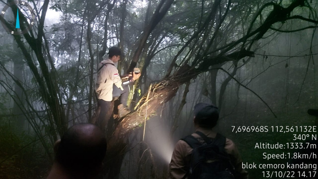 Caption: Petugas Taman Hutan Rakyat Raden Soerjo (Tahura R Soerjo) Jawa Timur saat melakukan patroli. (Istimewa)