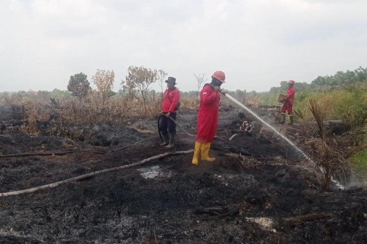 Lahan Polda Riau di Karya Indah Terbakar