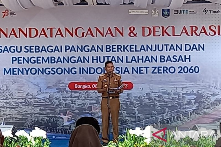 176.144 Hektare Lahan Bekas Tambang di Babel Dimanfaatkan untuk Pengembangan Sagu