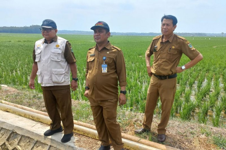 Petani di Banten Bisa Pinjam Pompa ke Pemerintah untuk Mengairi Sawah
