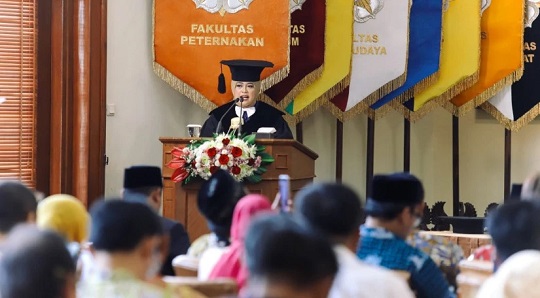 Peneliti UGM Ciptakan Gama Umami, Inovasi Rumput Gajah Unggul Hasil Mutasi