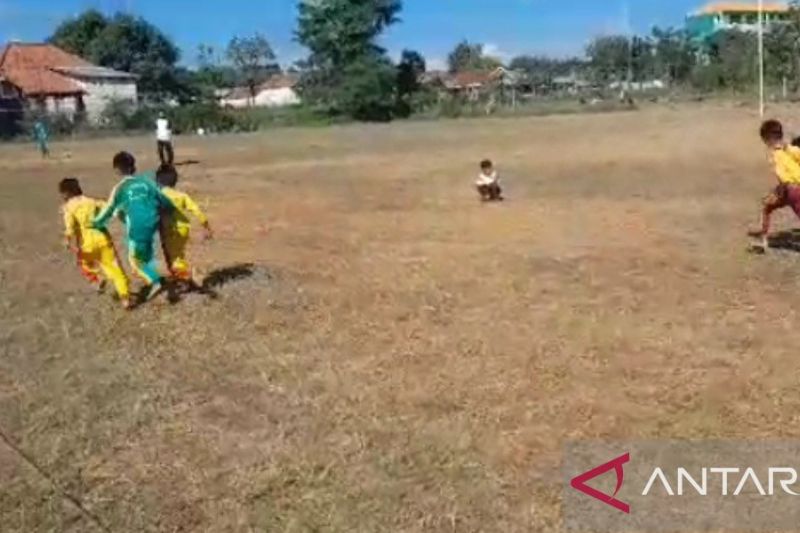Dua tim berada cepat mencapai garis finis pada lomba 'Rap-Kerrapan Sapeh' tingka SD di Lapangan Waru, Pamekasan, Selasa, 8 Agustus 2023. Foto Antara/ HO-KORMI Pamekasan
