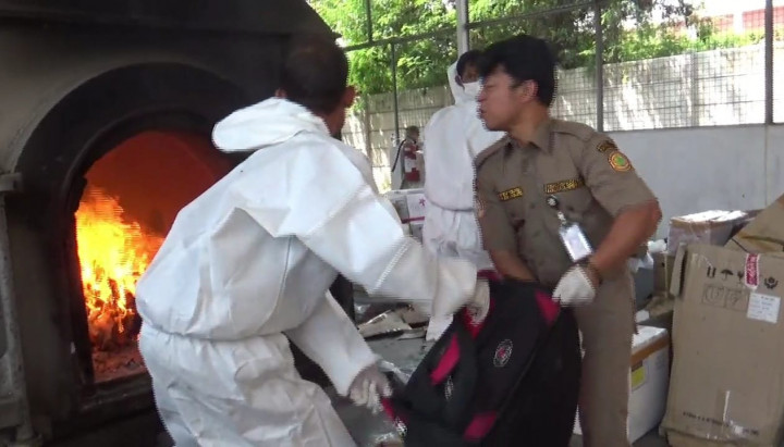 Karantina Pertanian Bandara Soetta Musnahkan Puluhan Ekor Piton Asal AS