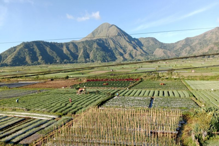 Suhu Dingin di Kaki Gunung Rinjani Hingga Tarif Puskesmas Kota Depok Naik 5 Kali Lipat