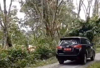 Viral Mobil Innova Pelat Merah Terobos Jalan Cor masih Basah