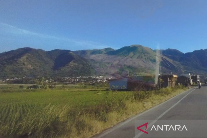 Antisipasi Karhutla, BKSDA Tingkatkan Patroli di Kawasan Gunung