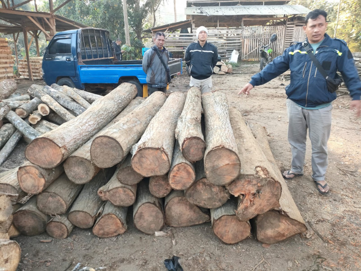 4 Pembalak Liar Kayu Suren di Kabupaten Malang Dibekuk Polisi