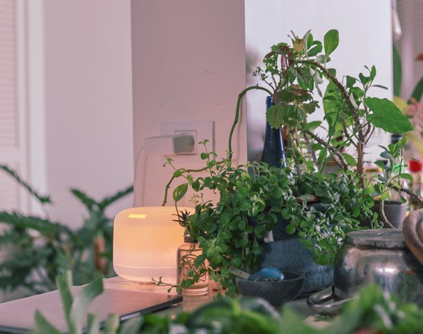 Dokter Ungkap Air Purifier Bantu Kurangi Polusi Udara di Dalam Ruangan