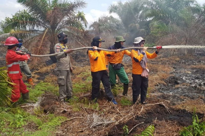 Polres Rokan Hilir Tangkap 11 Pembakar Lahan dan Hutan