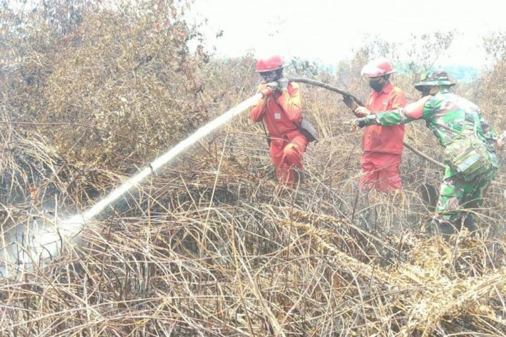 Karhutla di Indragiri Hulu Masih Timbulkan Asap