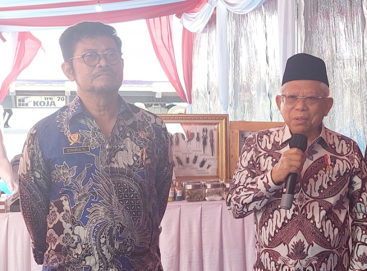 Wapres Instruksikan Kementan Hilirisasi Komoditas Pertanian