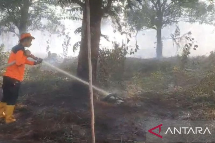 BPBD Antisipasi 1.618 Titik Panas di Kalbar