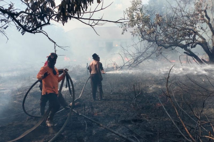 BPBD Palangka Raya Waspadai Ancaman Peningkatan Karhutla