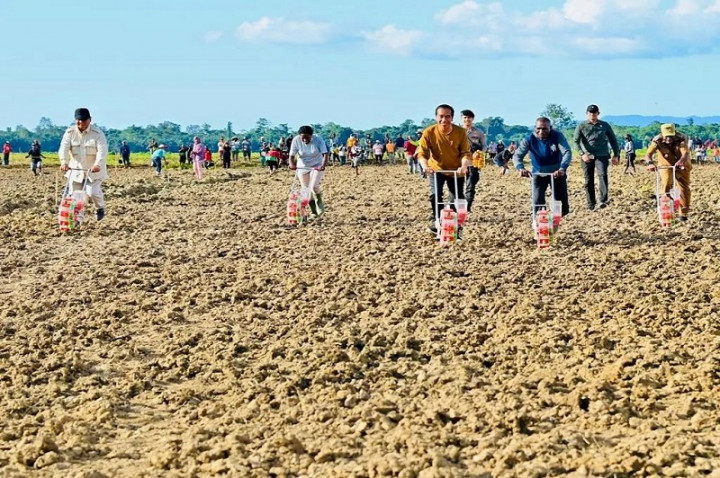 Di Tengah Krtitikan PDIP, Presiden Pastikan Terus Kembangkan <i>Food Estate</i>