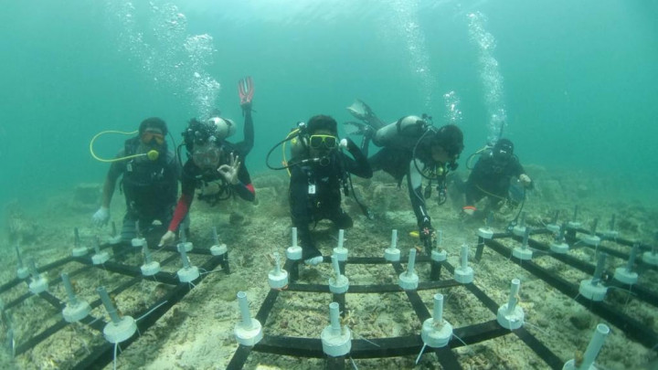 Pupuk Kaltim Komitmen Dukung SDGs