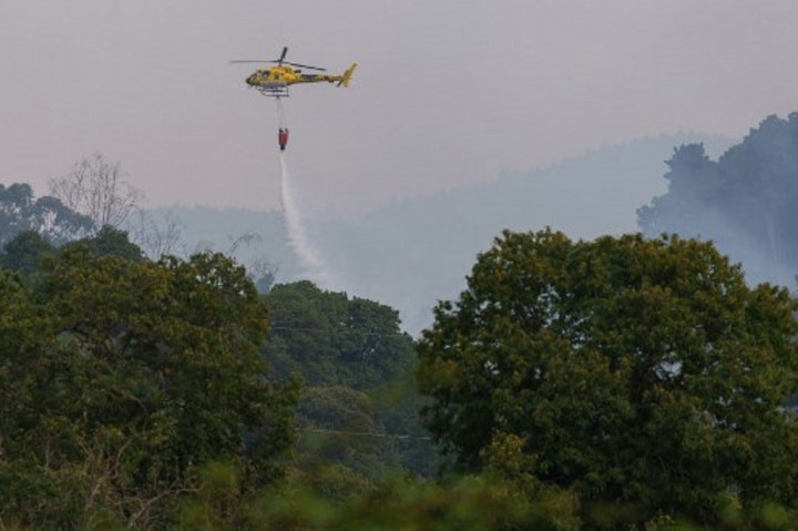 Parah! Kebakaran Hutan di Tenerife Spanyol Sengaja Disulut Seseorang