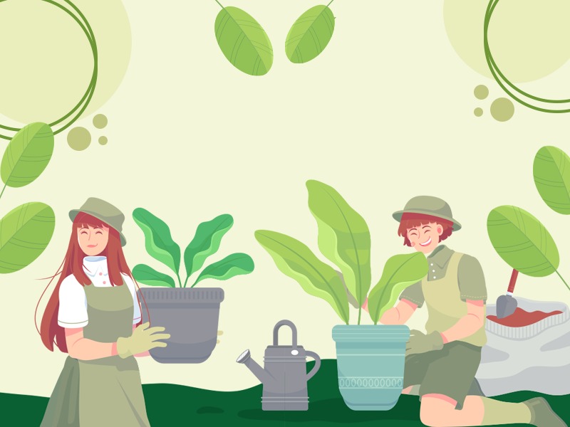 5 Tanaman Murah Meriah Ini Bisa Membersihkan Udara