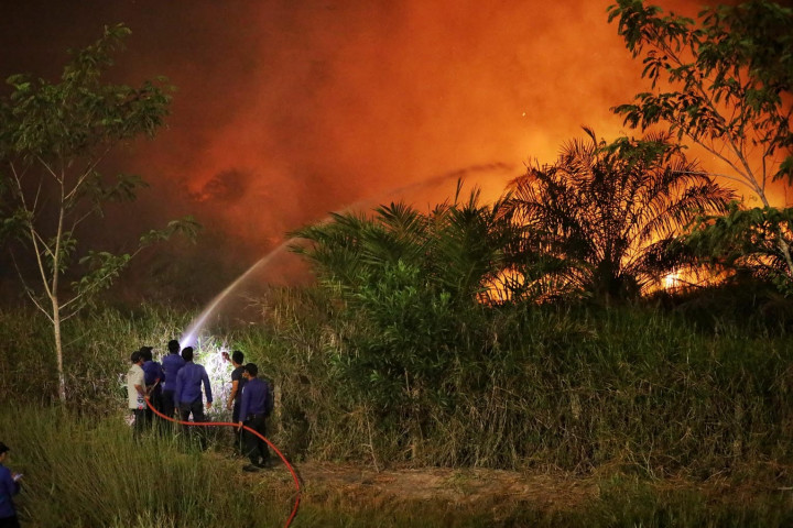 Polda Sumsel Tingkatkan Patroli Darat Atasi Karhutla di 4 Kabupaten