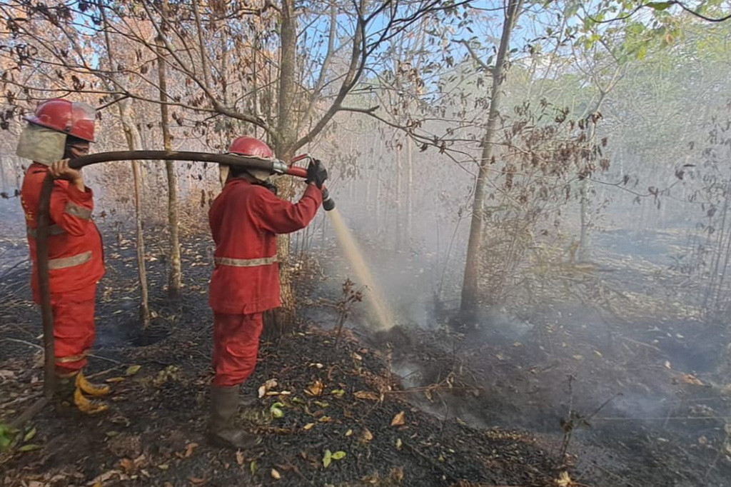 Karhutla Terus Terjadi di OKI, Fokus Pemadaman di Lahan Gambut