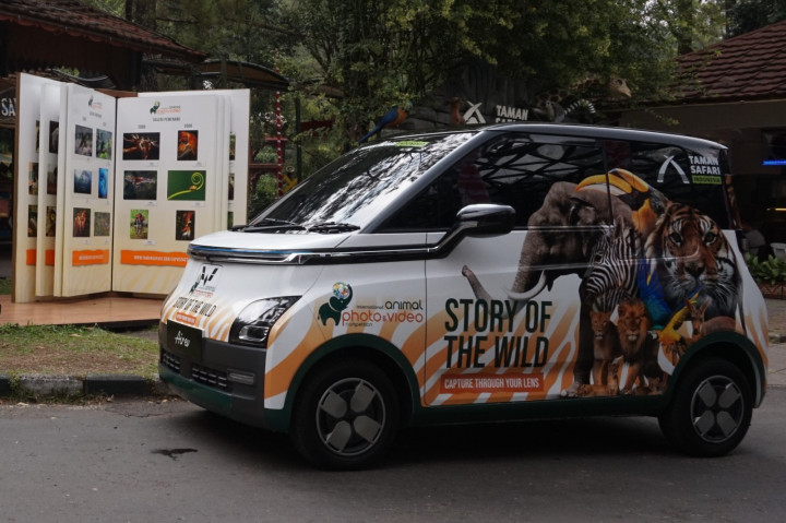 Lomba Foto Satwa Berhadiah Wuling Air ev, Ini Persyaratannya