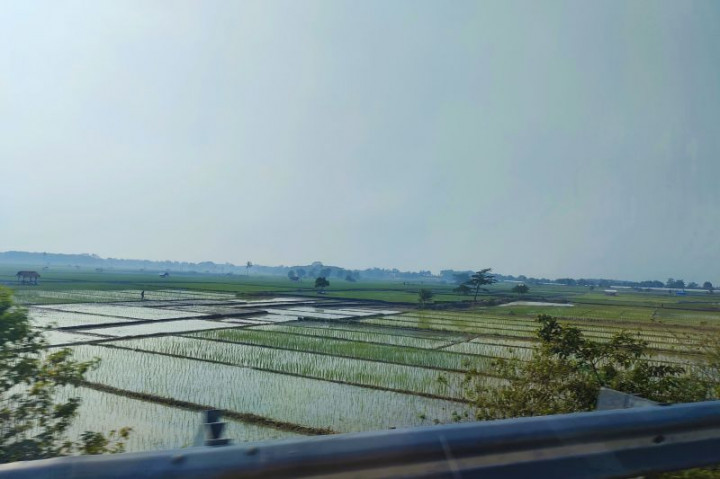 Petani di Lampung Diminta Manfaatkan Hujan untuk Jaga Produktivitas