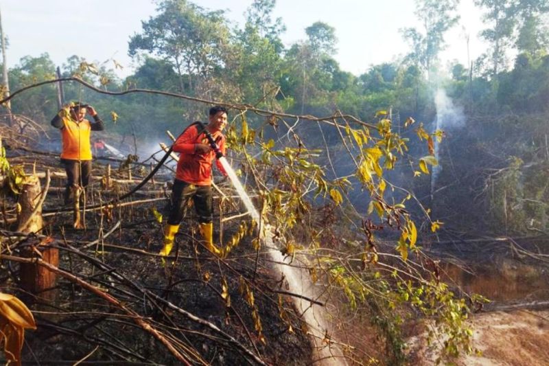 Sejumlah Wilayah Waspadai Hujan Lebat hingga Karhutla