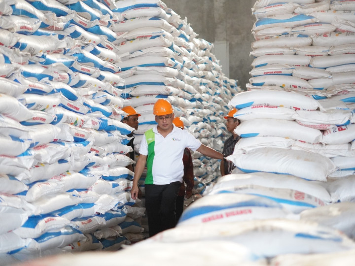 Tenang! Stok Pupuk Urea dan NPK Bersubsidi Tersedia 936.152 Ton