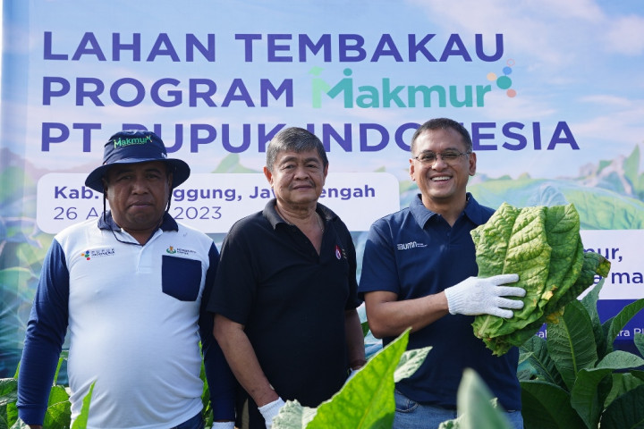 Tak Lagi Dapat Jatah Subsidi, Ini Pupuk yang Bisa Dimanfaatkan Petani Tembakau