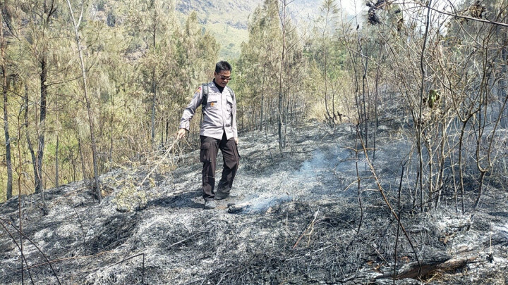 Total Lahan Terbakar di lereng Gunung Arjuno Capai 143 Hektare
