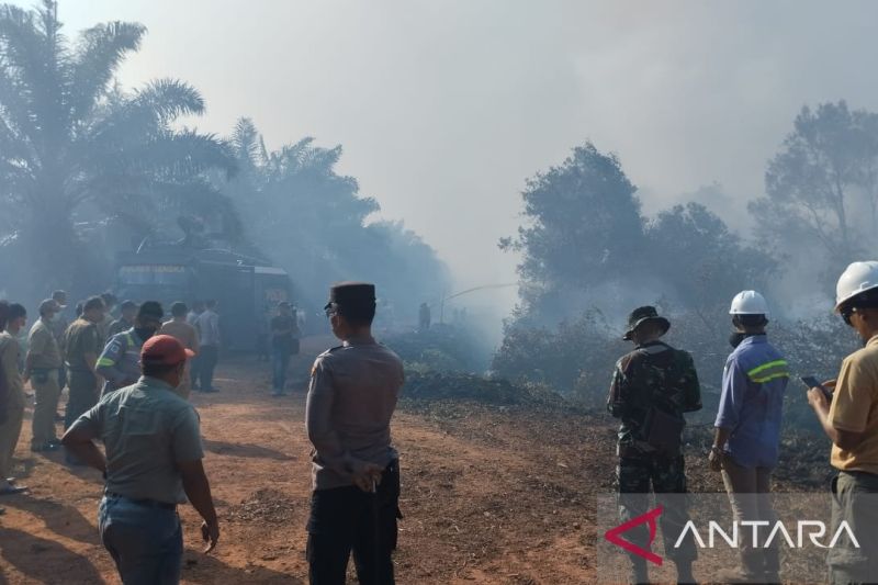Kapolres Bangka AKBP Taufik Noor Isya meninjau lahan gambut yang terbakar. Antara/Kasmono/Ho.Humas Polres