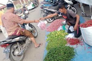 Dampak El Nino, Harga Cabai dan Tomat di Aceh Melambung
