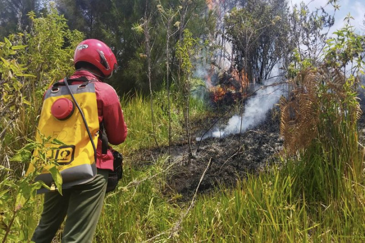 Savana Taman Nasional Bromo Terbakar