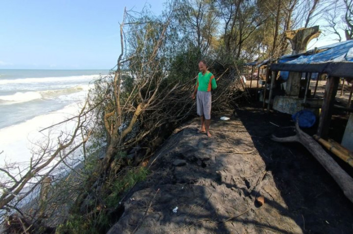 Abrasi Ancam Konservasi Penyu di Kawasan Pantai Trisik Kulon Progo