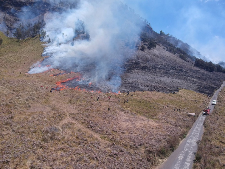 Kebakaran di Gunung Bromo Meluas
