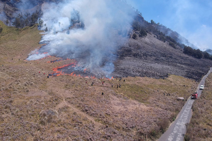 Hutan Bantengan TNBTS Terbakar