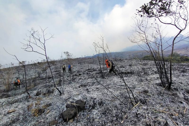 Api di Gunung Arjuno Kembali, Pemadaman Terkendala Ketinggian dan Angin