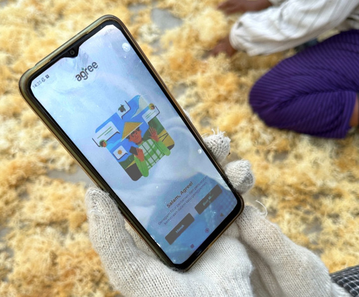 Agree Dukung Optimalkan Hasil Panen Budi Daya Rumput Laut di NTT