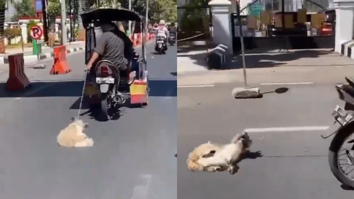 Kejam! Pengendara Bentor di Makassar Seret Anjing di Jalanan Kota Sampai Terguling