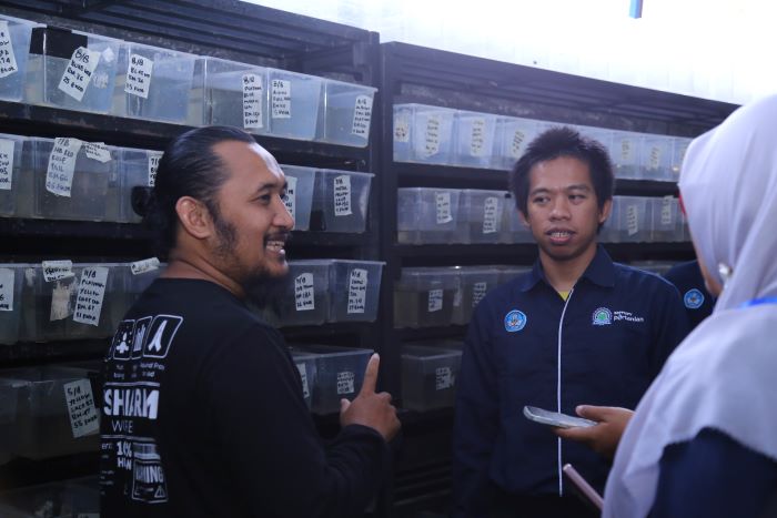 Upskilling dan Reskilling, Belasan Guru SMK Magang di Peternakan Ikan Hias