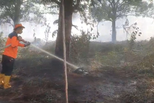 KLHK Segel Lokasi Karhutla Milik 4 Perusahaan di Kalbar