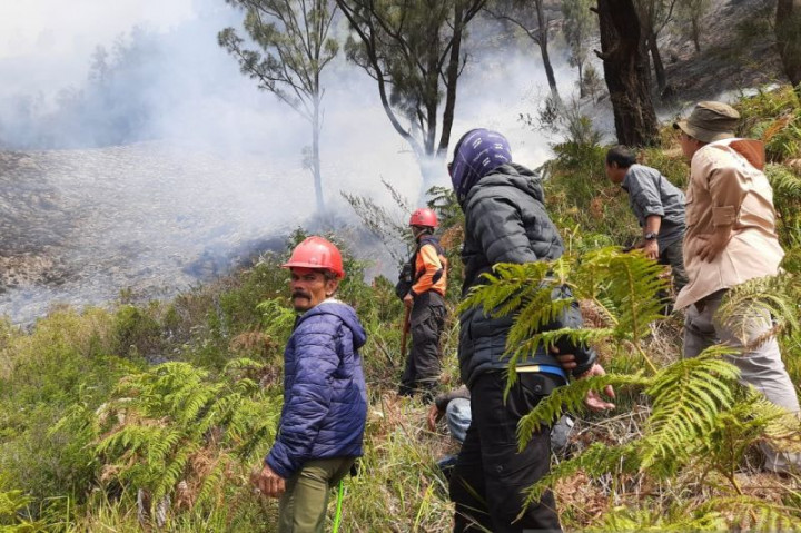 Api di Bukit Teletubbies Gunung Bromo Padam, Akses Wisata Ditutup