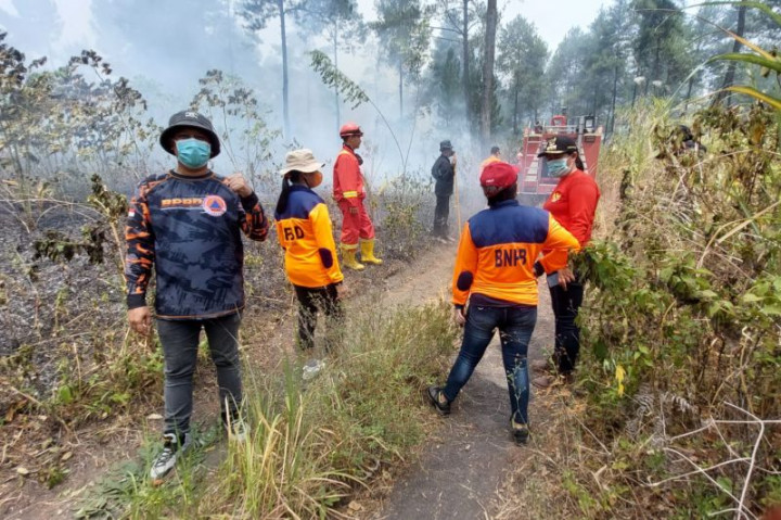 BPBD Tetapkan Tanggap Darurat Karhutla Gunung Soputan Selama 7 Hari