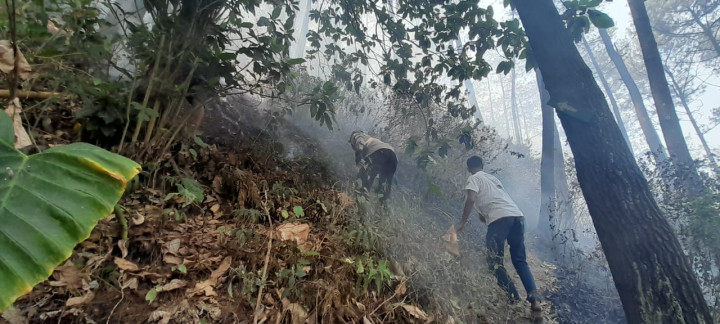 Kebakaran Padam, Pintu Masuk Gunung Bromo via Malang Dibuka Kembali