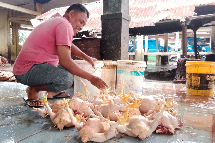 Pasar Sepi, Harga Ayam Potong di Aceh Anjlok
