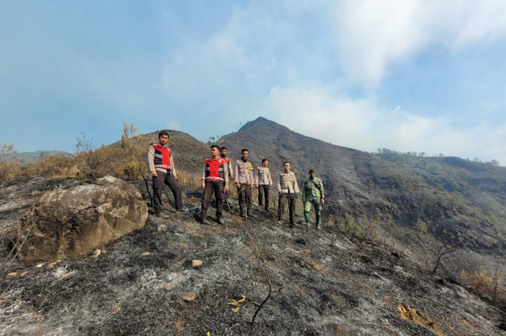 BPBD Catat 907 Hektare Lahan Gunung Arjuno di Kota Batu Terbakar