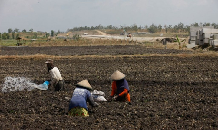 Kolaborasi Pengairan Sawah Bisa Bantu Petani Lebih Hemat Biaya